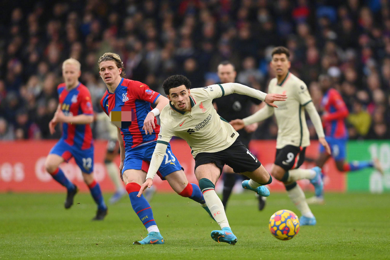 展现出巨大 展现出巨大